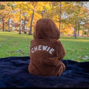 Gap x Star Wars - Chewbacca Bunting